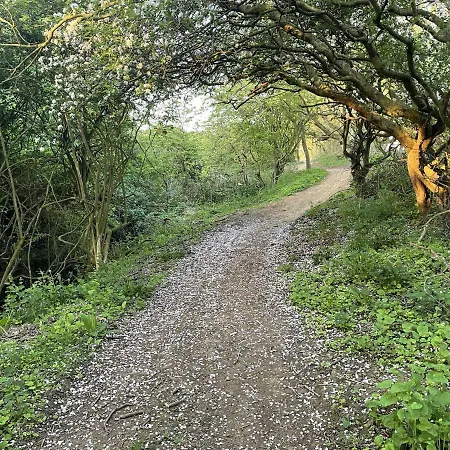 Dom wakacyjny High Tide